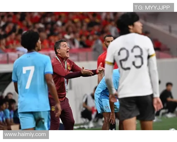 越南足球球星年薪揭秘 他们在亚洲足坛的收入表现如何