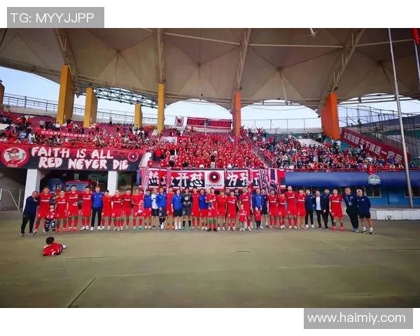 2023至2024赛季足球明星卡全面解析与收藏指南